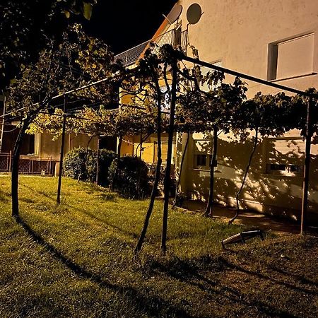 Entire Spacious Apartment With Free Parking Podgorica Buitenkant foto