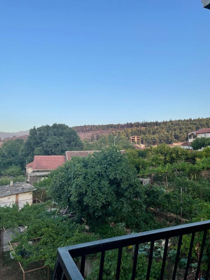 Entire Spacious Apartment With Free Parking Podgorica Buitenkant foto